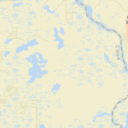 Carlson Florida Street Map