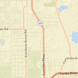 8403 Pinewood Avenue, Brooksville, FL 34613 Street Map