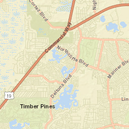 Timber Pines Florida Street Map