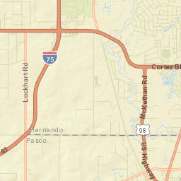 Trilcoochee Florida Street Map
