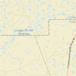 Withla Florida Street Map