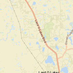 8633 Pleasant Plains Parkway, Land O' Lakes Street Map