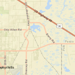 Vitis Florida Street Map