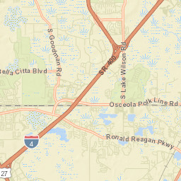 Reunion Florida Street Map