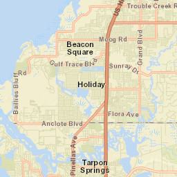 Victor Florida Street Map