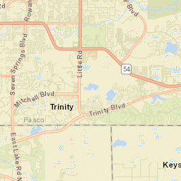 Trinity Florida Street Map
