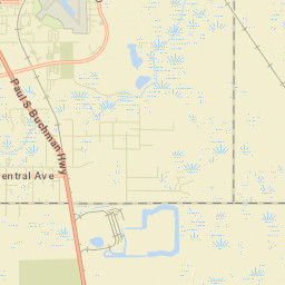 Crystal Springs Florida Street Map