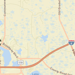 Polk City Florida Street Map