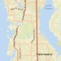 Wall Springs Florida Street Map