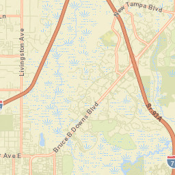 University Street Map