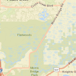 Pebble Creek Florida Street Map