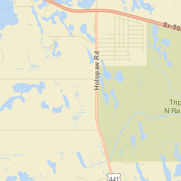 Holopaw Florida Street Map