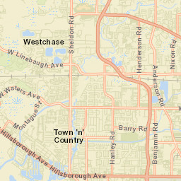 Town 'n' Country Florida Street Map