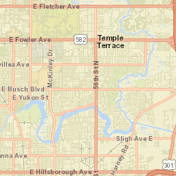 Temple Terrace Florida Street Map