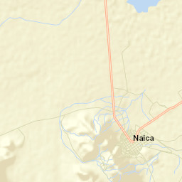 Naica Street Map