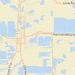 Pierce Florida Street Map