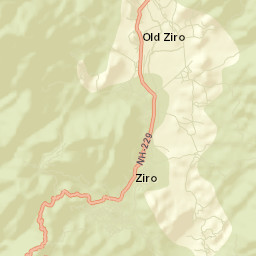 Ziro Street Map