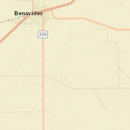 Benavides Street Map
