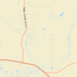Basinger Florida Street Map