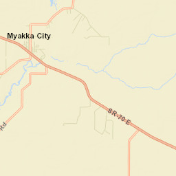 Myakka City Florida Street Map