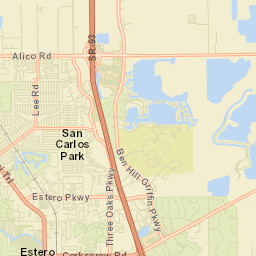Three Oaks Florida Street Map