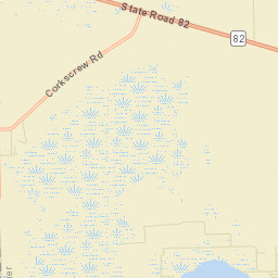 Corkscrew Florida Street Map