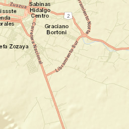 Sabinas Hidalgo Street Map