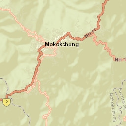 Mokokchung Street Map