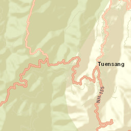Tuensang District Street Map