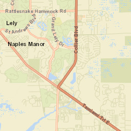 Naples Manor Florida Street Map
