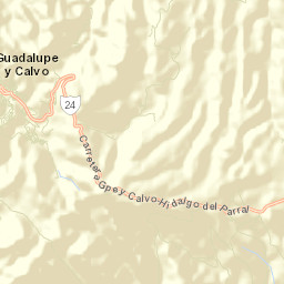 Guadalupe y Calvo Street Map