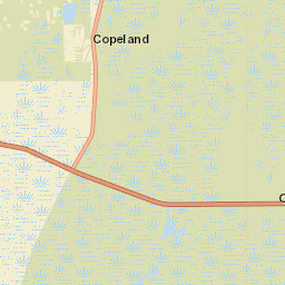 Ochopee Florida Street Map