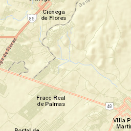 Fraccionamiento Real Palmas Street Map