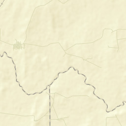 La Palmita Nuevo Leon Street Map