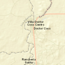 Doctor Coss Nuevo León Street Map