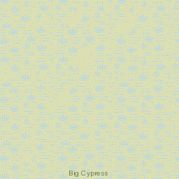 Trail City Florida Street Map