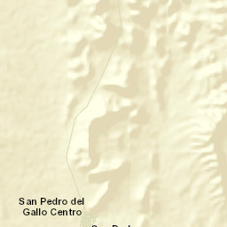 San Pedro del Gallo Street Map