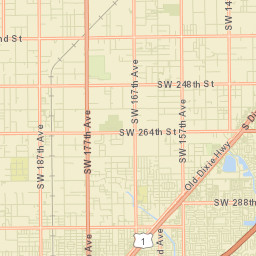 Silver Palm Florida Street Map