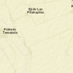 Tamazula Street Map