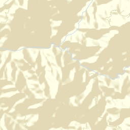 Tamazula Street Map