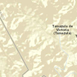 Tamazula de Victoria Street Map