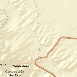 Concepción del Oro Street Map