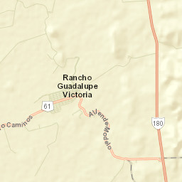 Guadalupe Victoria Street Map