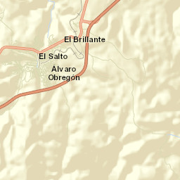 El Salto Street Map