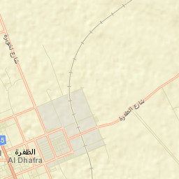 Zayed City Street Map