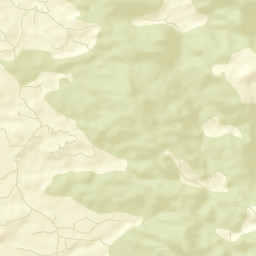 Surguja Street Map