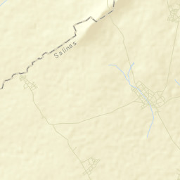 Palma Pegada Street Map