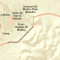 Jerez de García Salinas Street Map