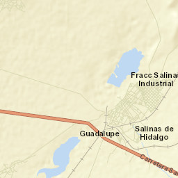 Salinas de Hidalgo Street Map