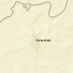 Guayalejo Street Map